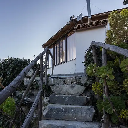 Eyexei Domus 4*