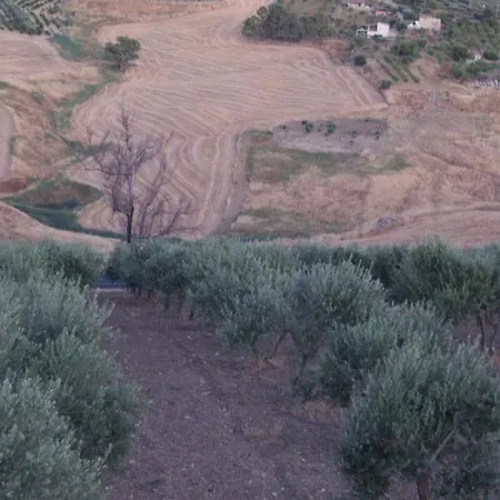 Eyexei Domus Bed & Breakfast