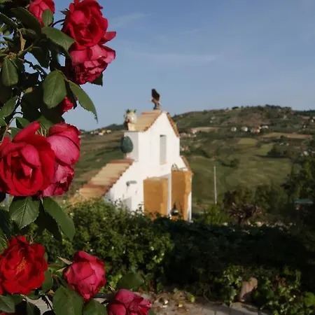 Eyexei Domus Bed & Breakfast *