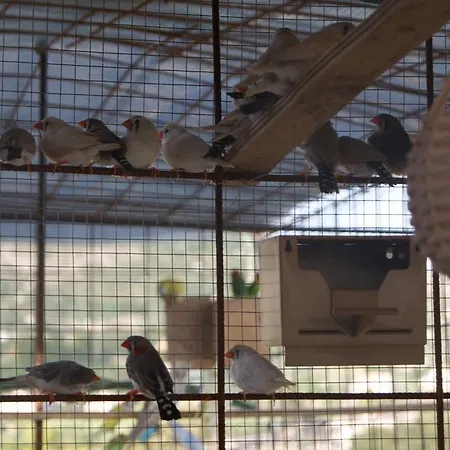 Eyexei Domus Bed & Breakfast Agrigento