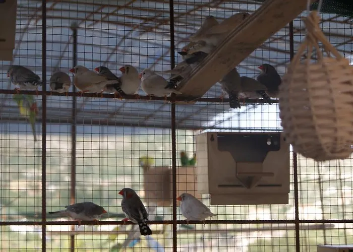 Eyexei Domus Bed & Breakfast Agrigento